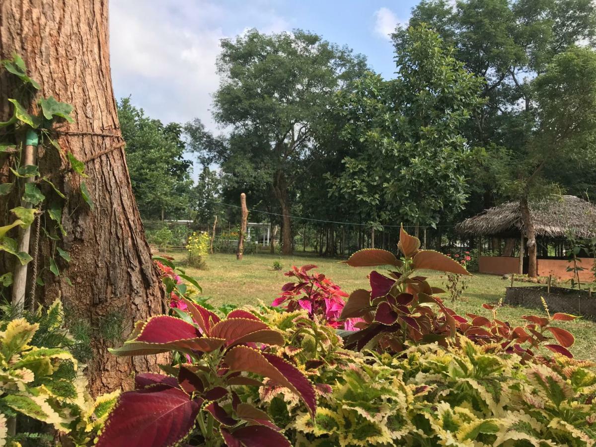 Peacock Resort Anuradhapura Eksteriør bilde