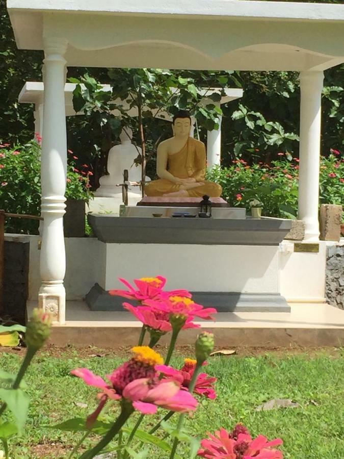 Peacock Resort Anuradhapura Eksteriør bilde